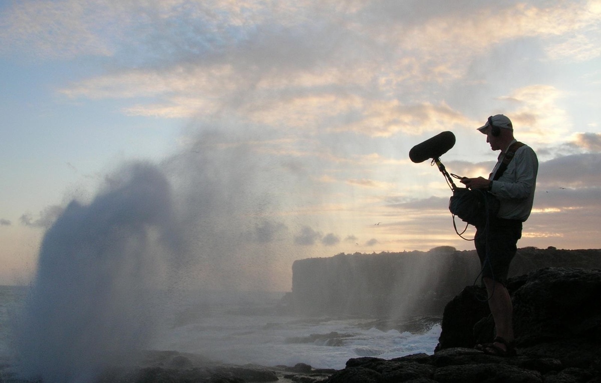 Полевые записи звуков