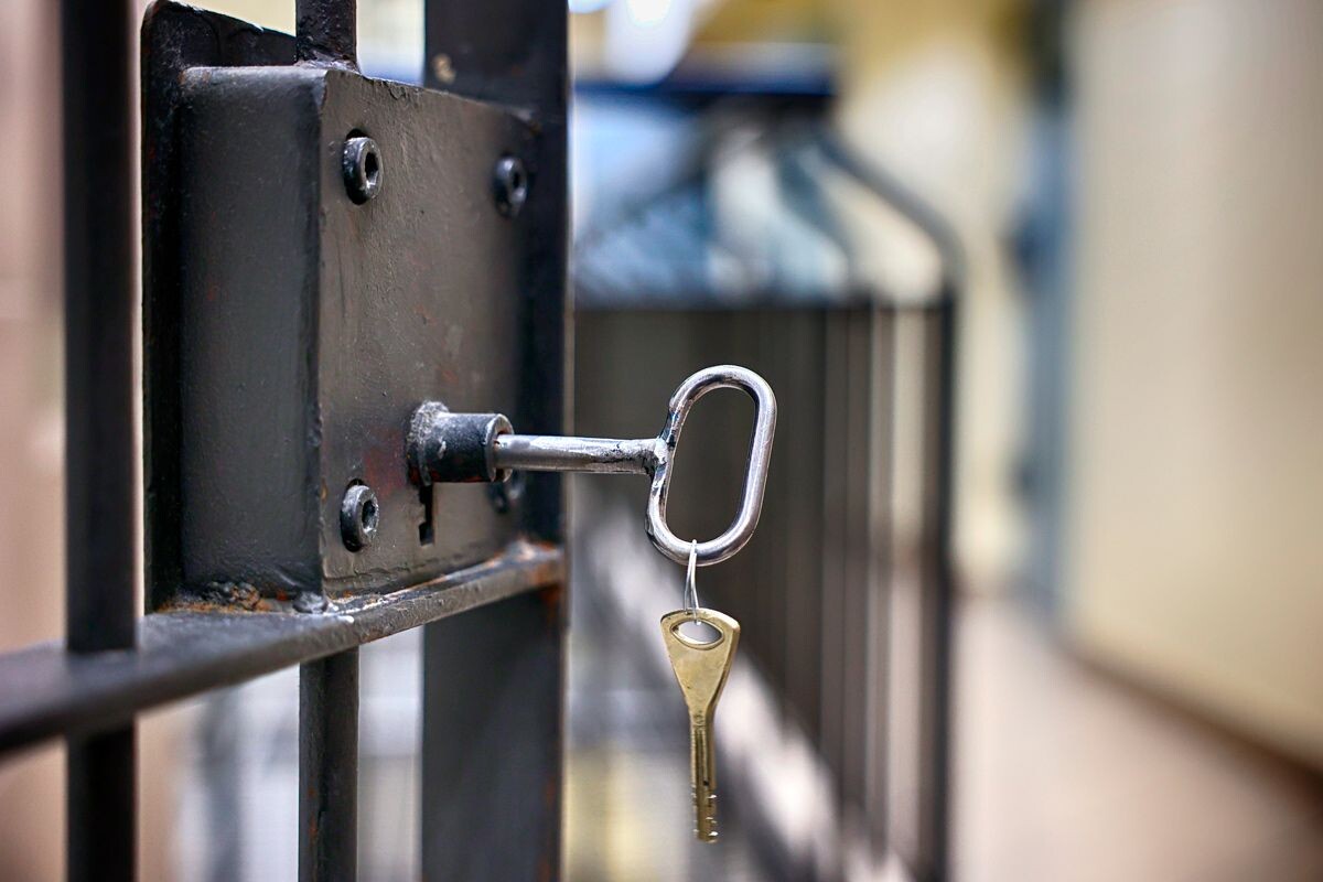    Фото: FotoDax / Shutterstock.com