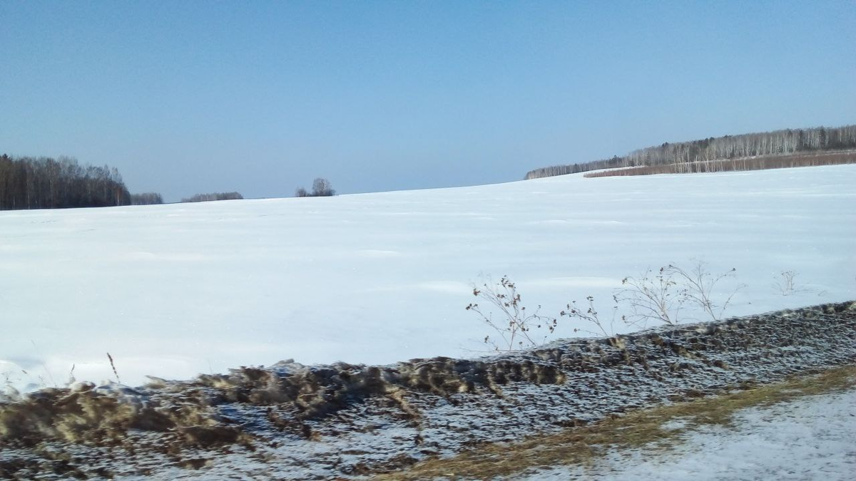 А на полях ещё снег лежит (фото автора)