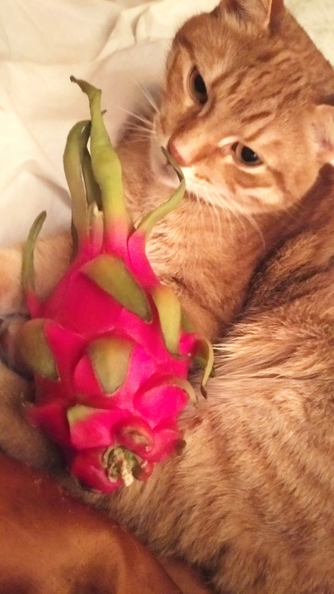 Личное  фото