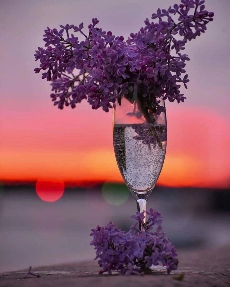 Прям чувствуется от этой картинки тепло и веение весны 