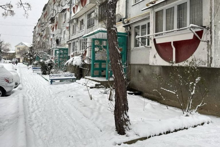 Фото: t.me/proc_23