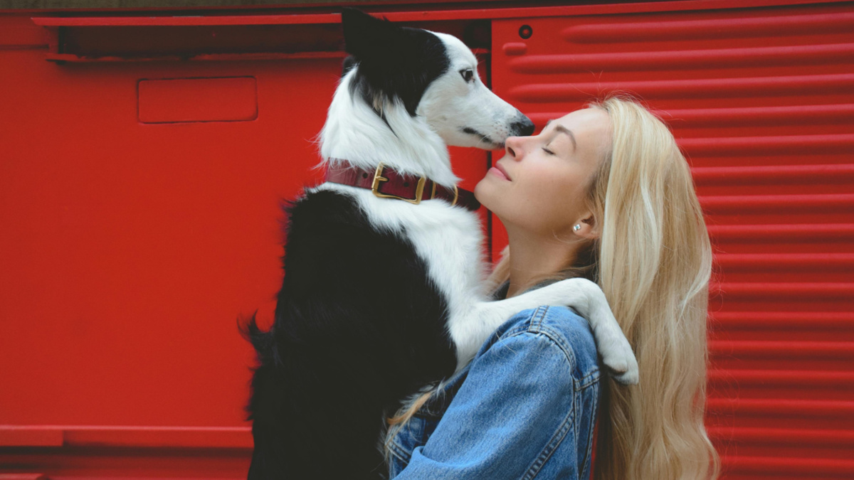 Если вы устали от однообразия, попробуйте посмотреть подарок для собаки вашей любимой. Фото Yuli Como/Pexels