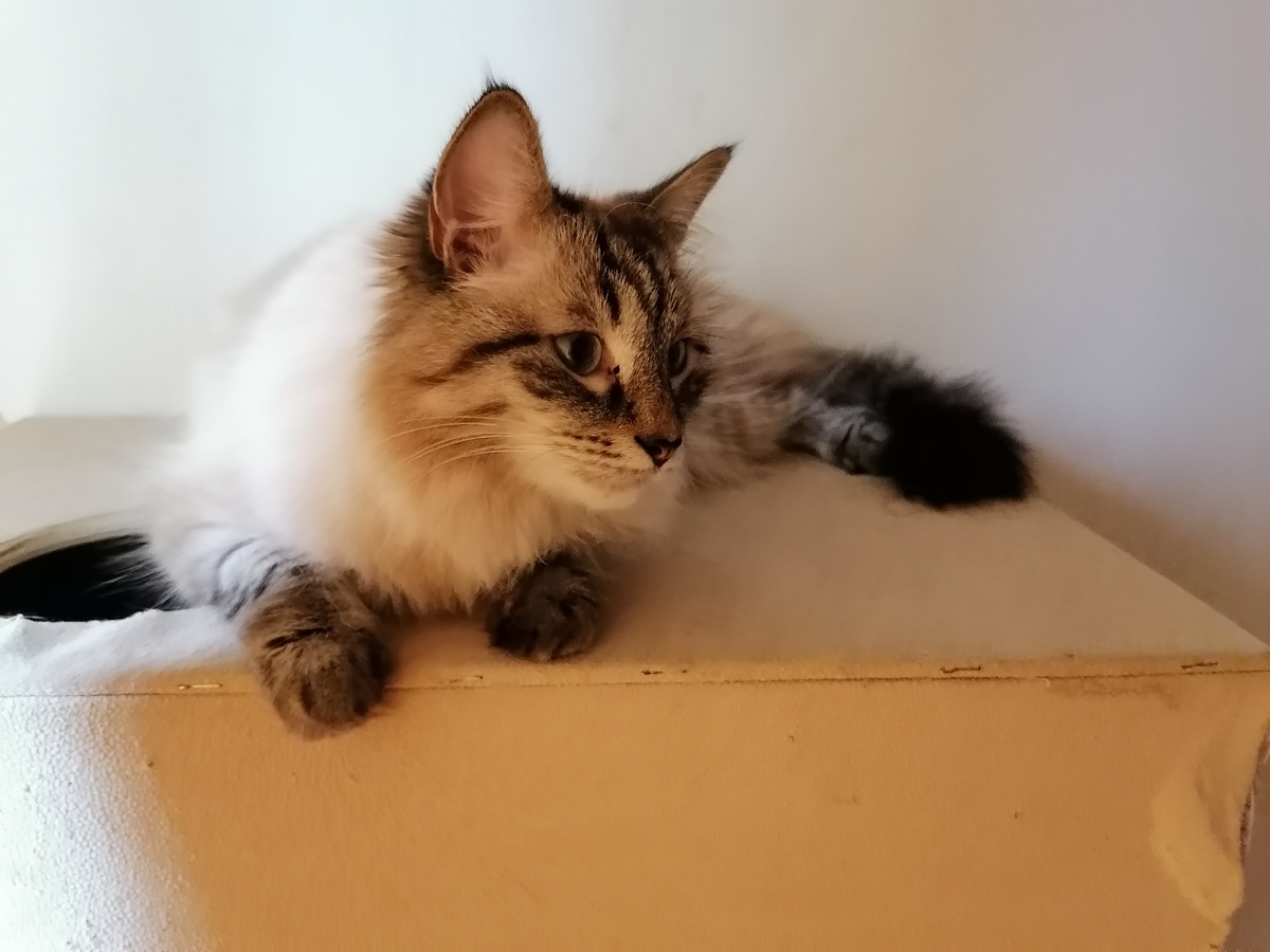 Семён. Фото автора