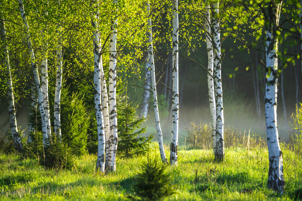 alex_ugalek/istock