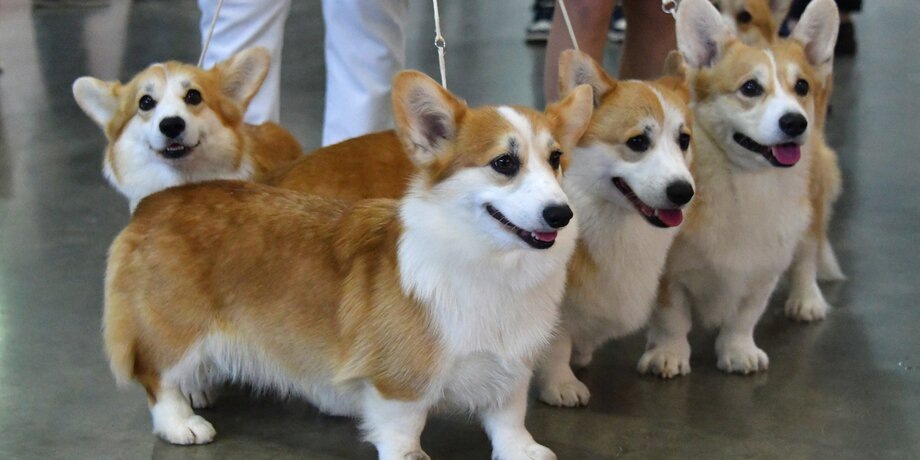 Фото: Москва 24/Антон Великжанин