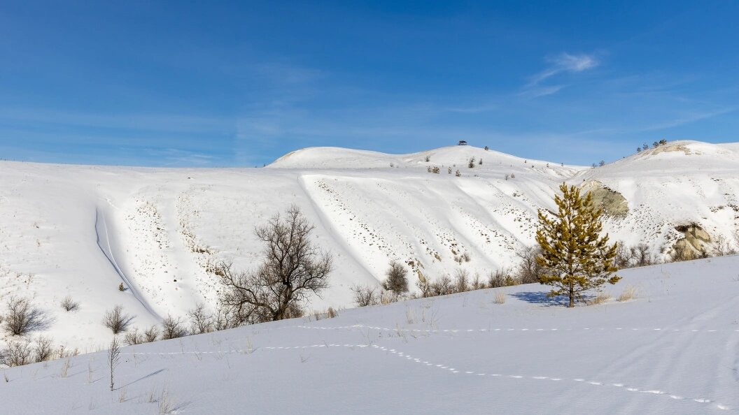    Фото: Aleksey Smyshlyaev/Globallookpress