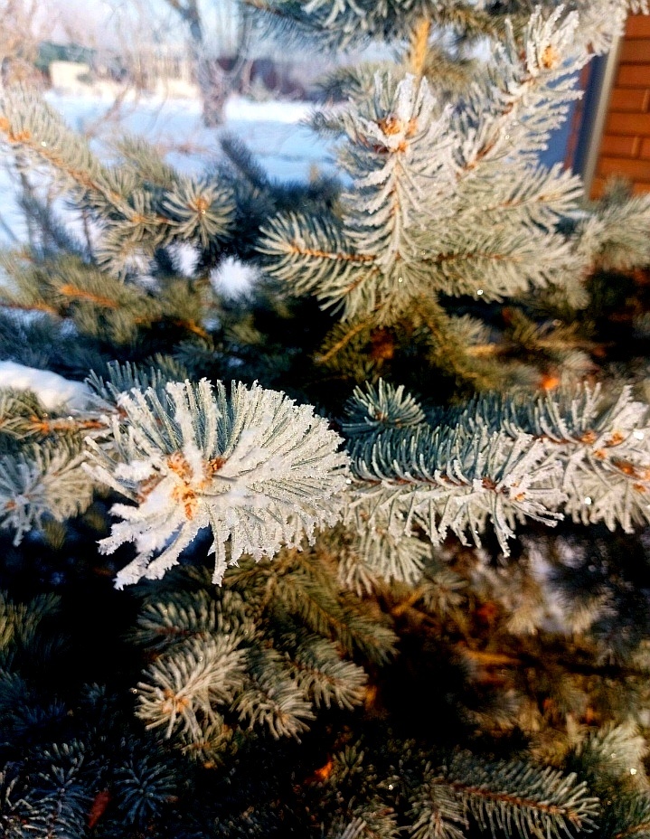 Последний день февраля... Сказочная красота! 