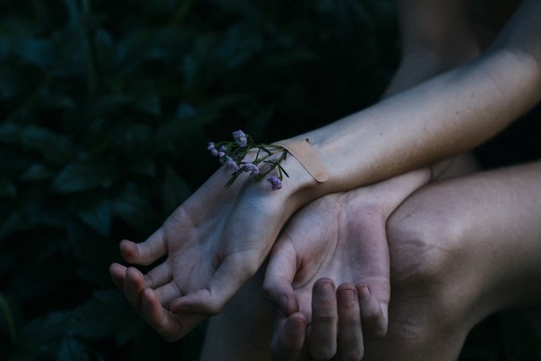 Фото из Интернета