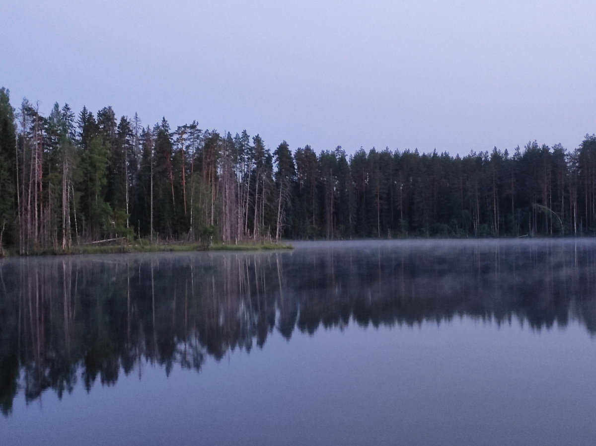 Туман клубится над озером