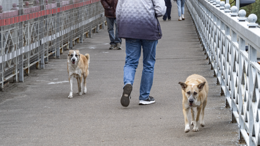   globallookpress.com Konstantin Kokoshkin