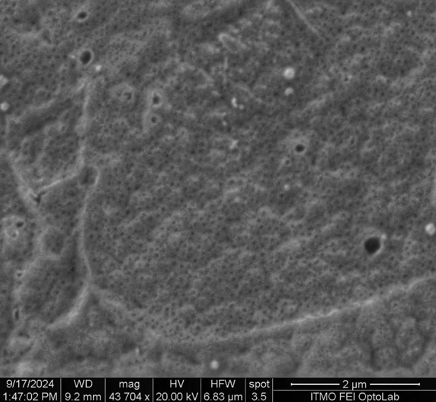 Нанотрубки диоксида титана под электро микроскопом 