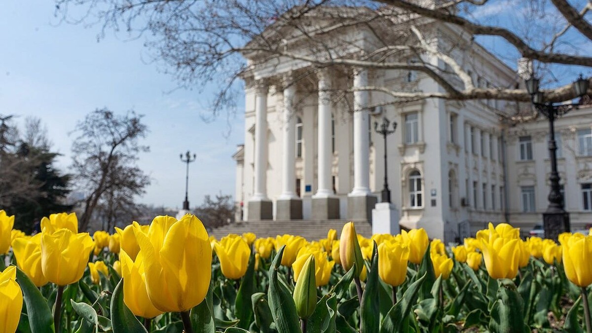    Фото: архив телеканала «Краснодар»