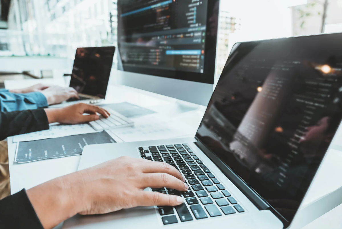 Фотография взята из источника yandex.ru