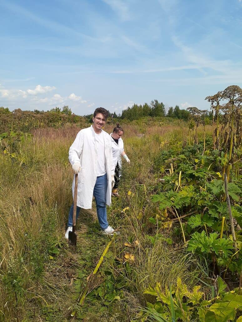 Заготовка сырья