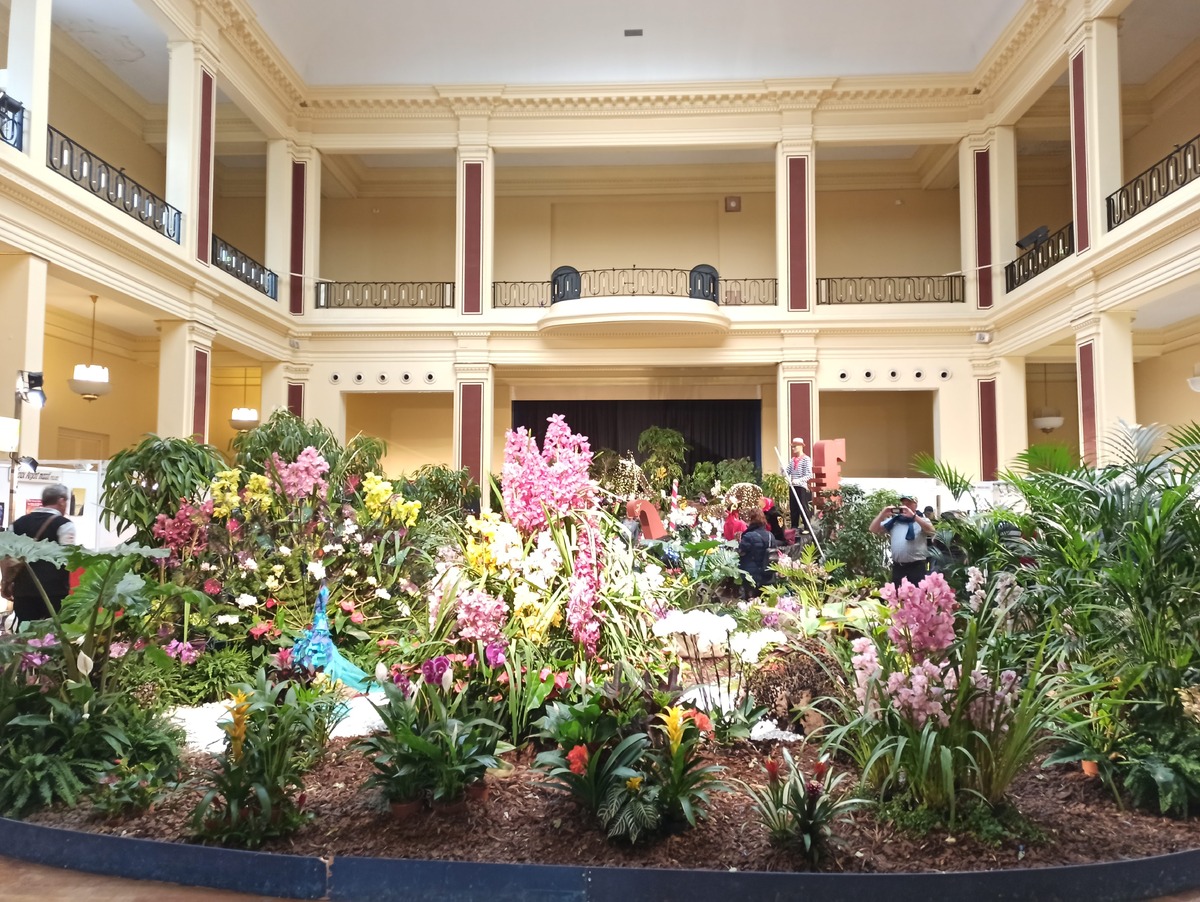 Фестиваль орхидей и ярмарка ремесел в Ментоне. Фото автора