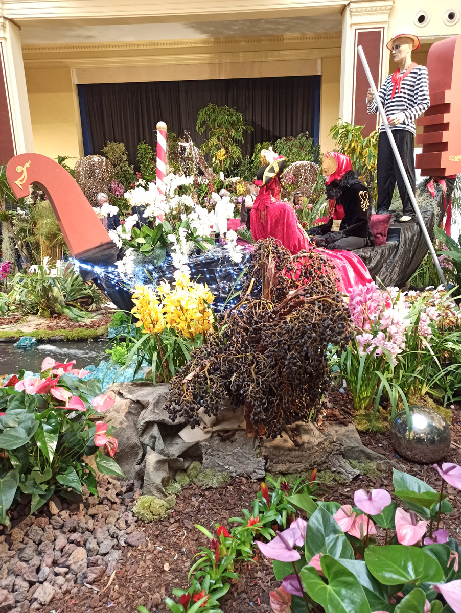 Фестиваль орхидей и ярмарка ремесел в Ментоне. Фото автора