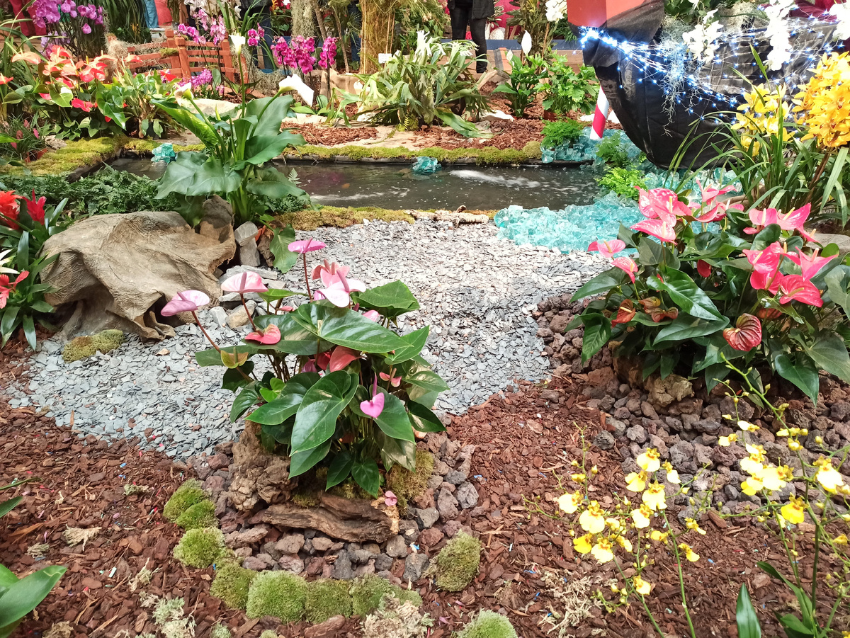 Фестиваль орхидей и ярмарка ремесел в Ментоне. Фото автора