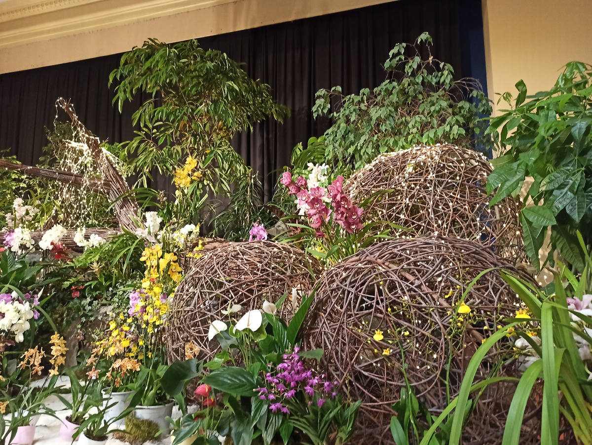 Фестиваль орхидей и ярмарка ремесел в Ментоне. Фото автора