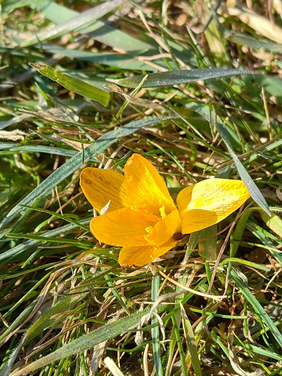 Сегодня. Фото автора канала