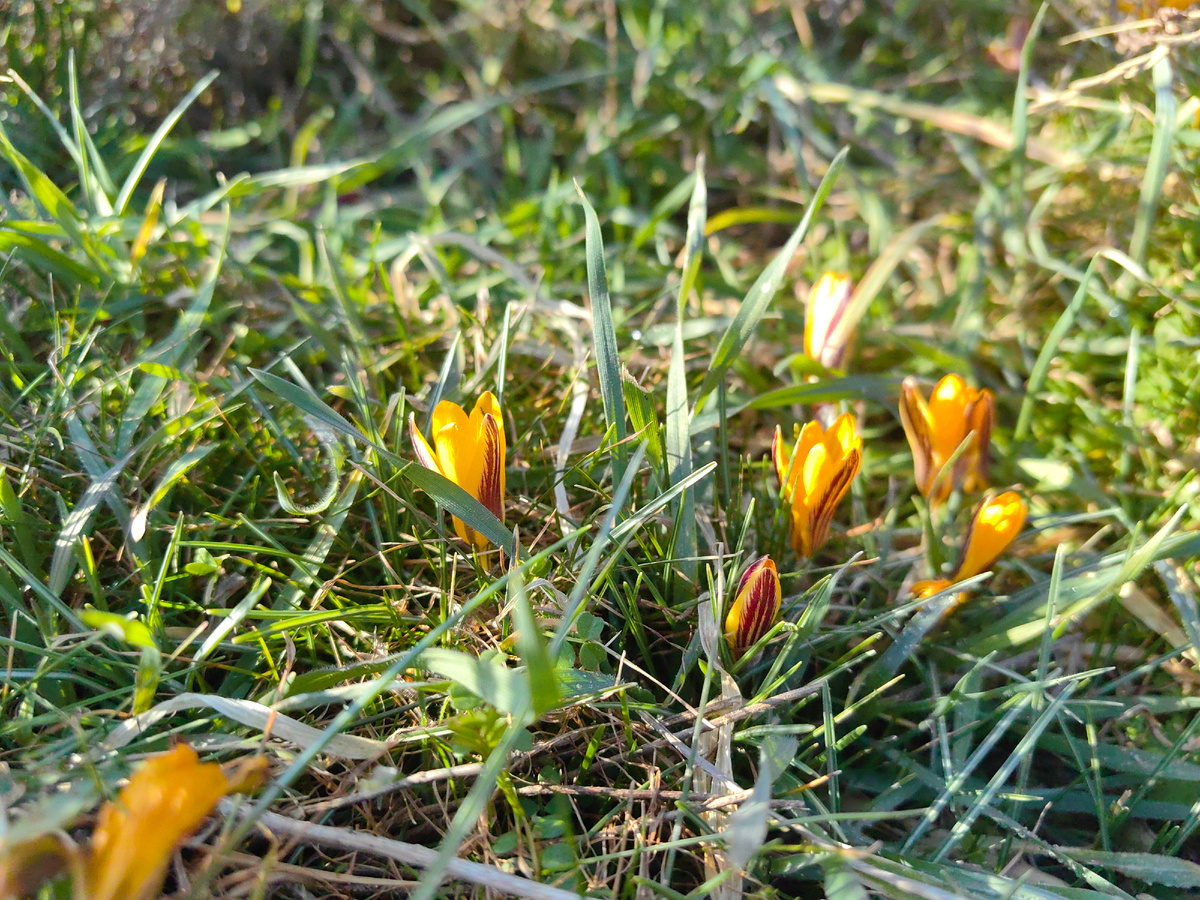 Сегодня. Фото автора канала