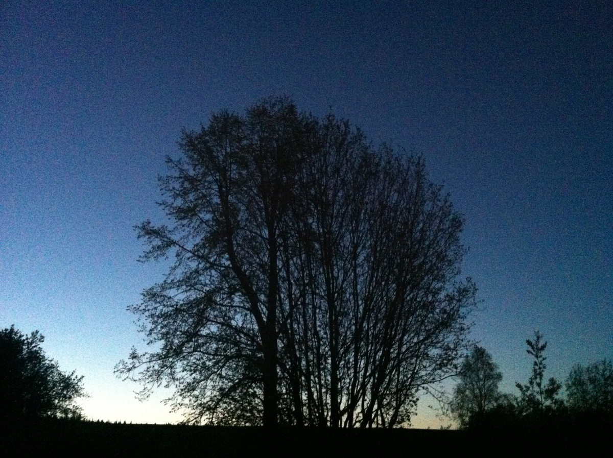 Закат. Фото автора