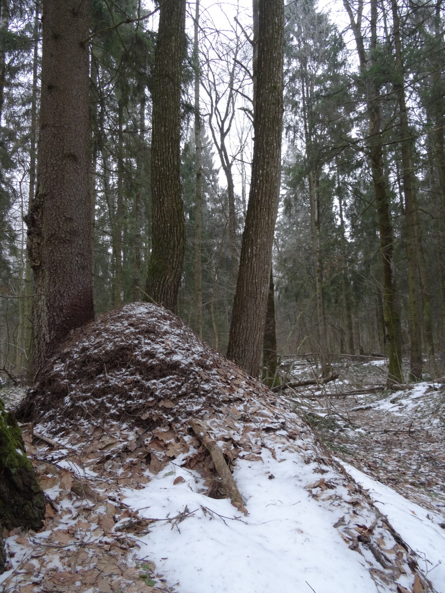 В начале февраля. 