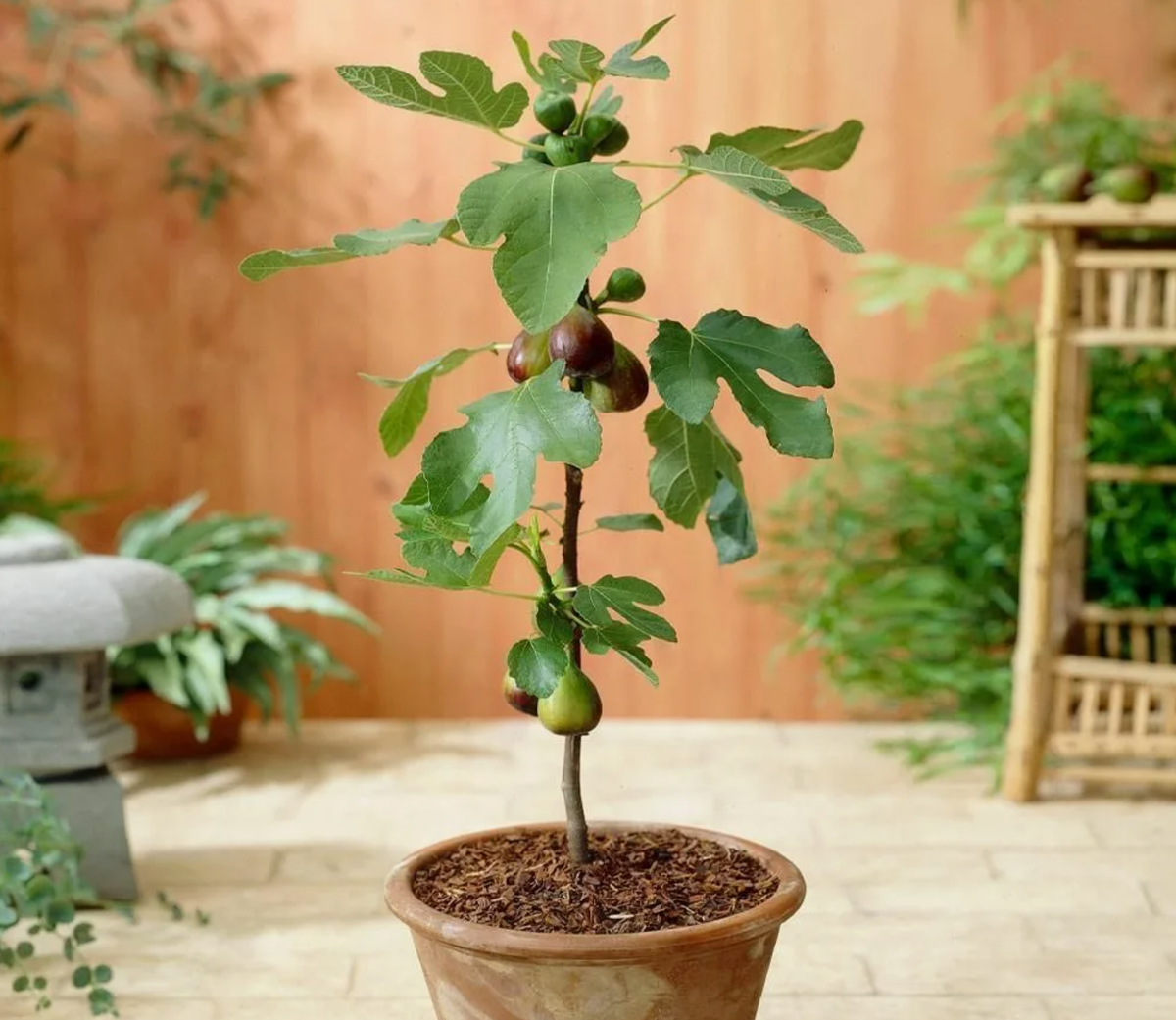 Источник фото: pinterest.com