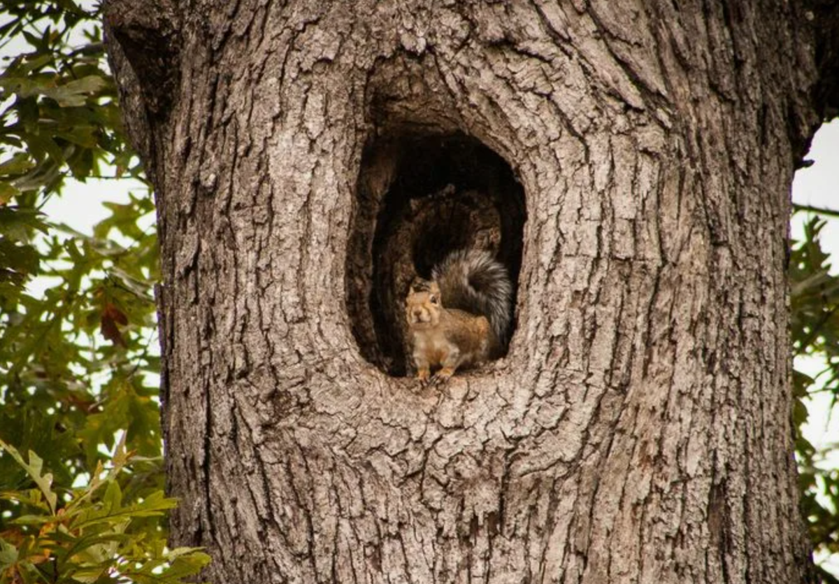 Источник фото: pinterest.com