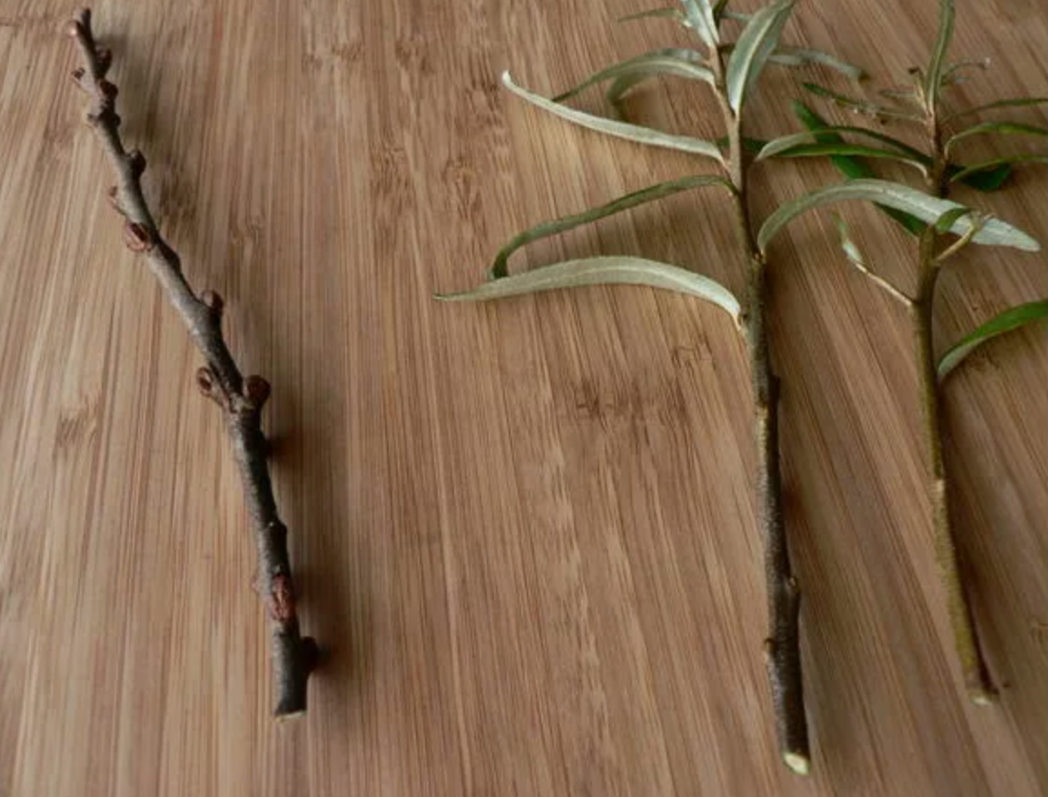 Источник фото: 7dach.ru