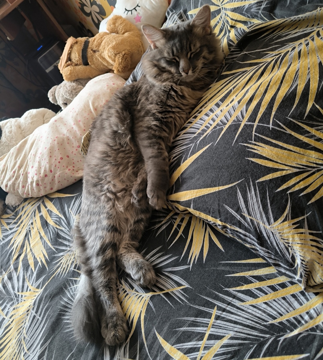 Всё фотографии в статье авторские. 