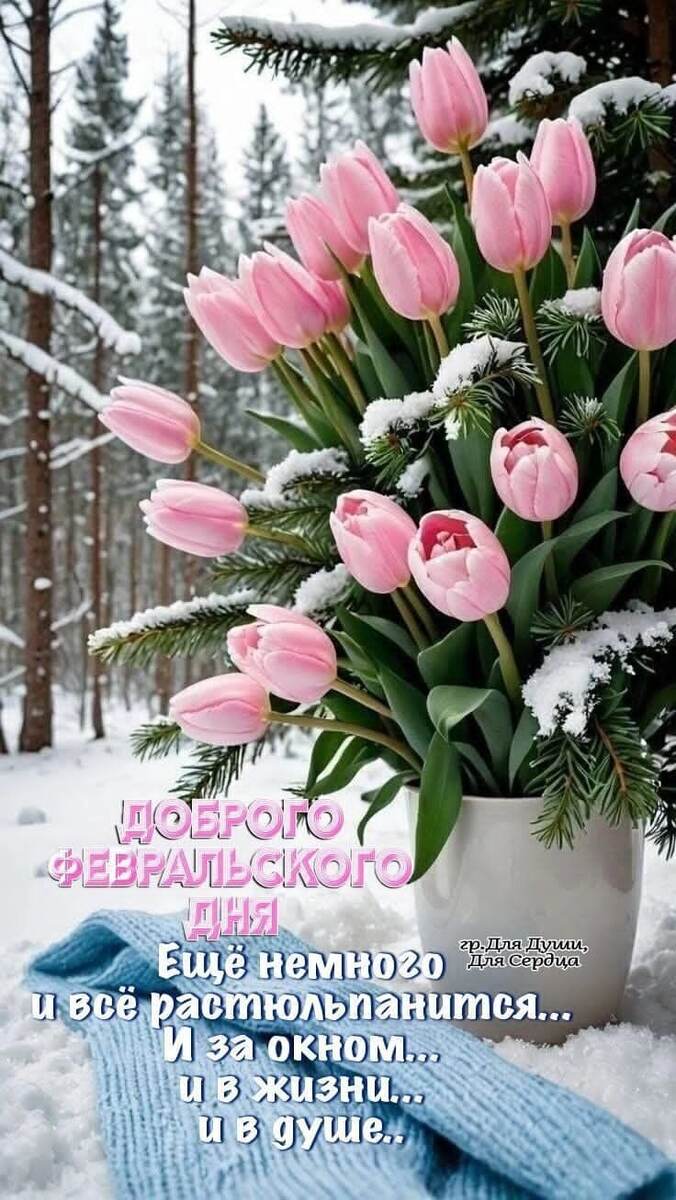 Прекрасные тюльпаны. 