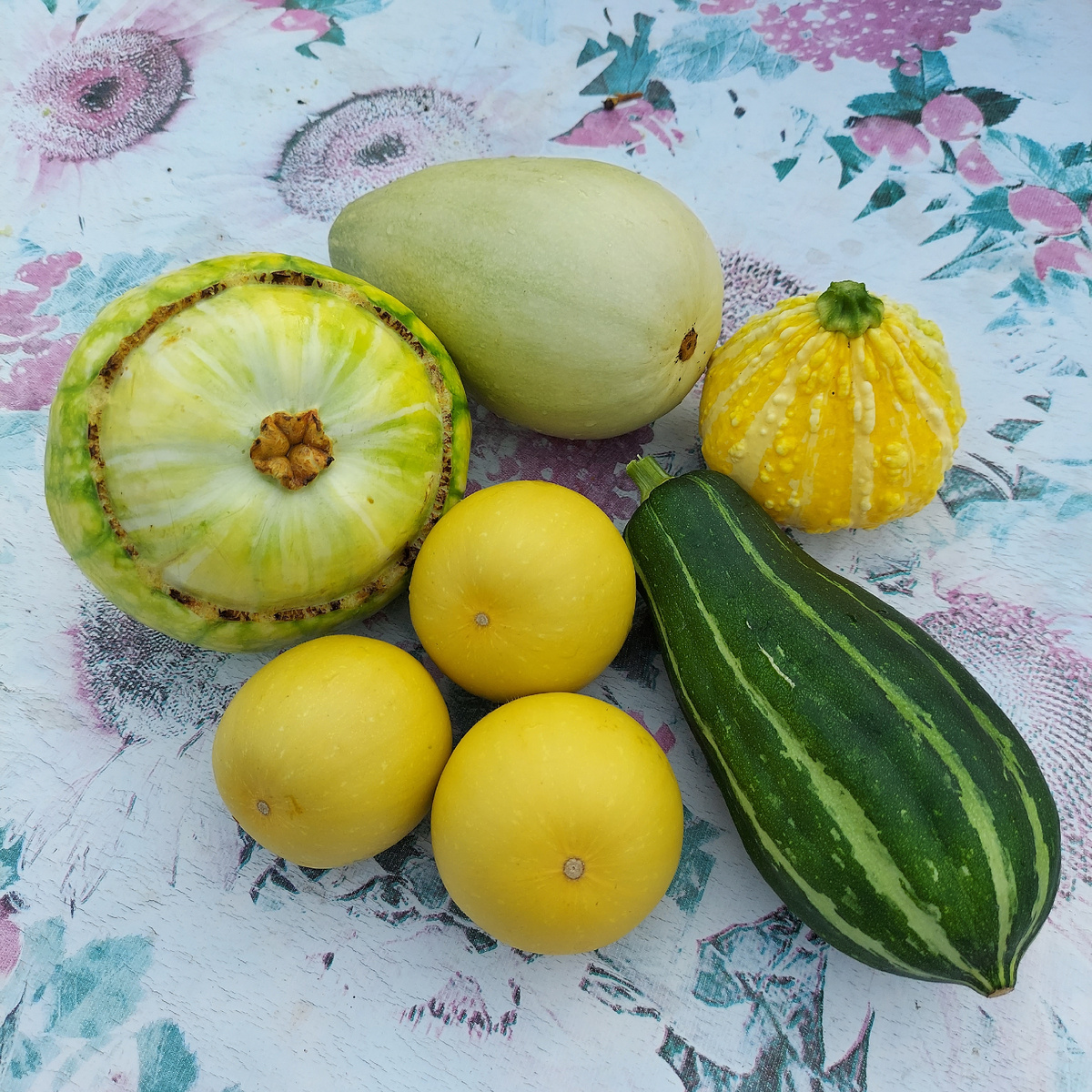 Фото автора. У нас на даче.