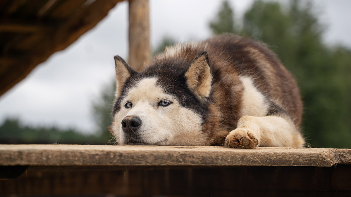    Фото: vm.ru Георгий