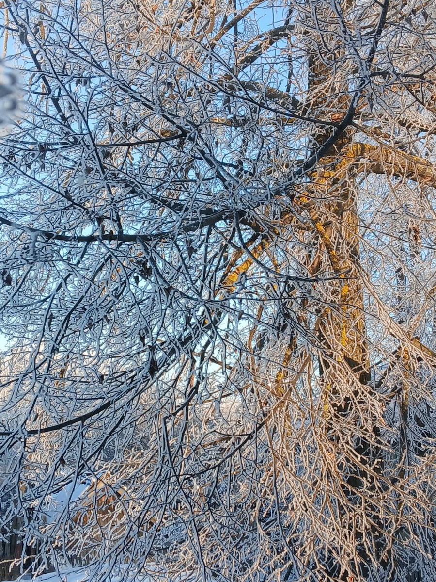 Мороз и солнце