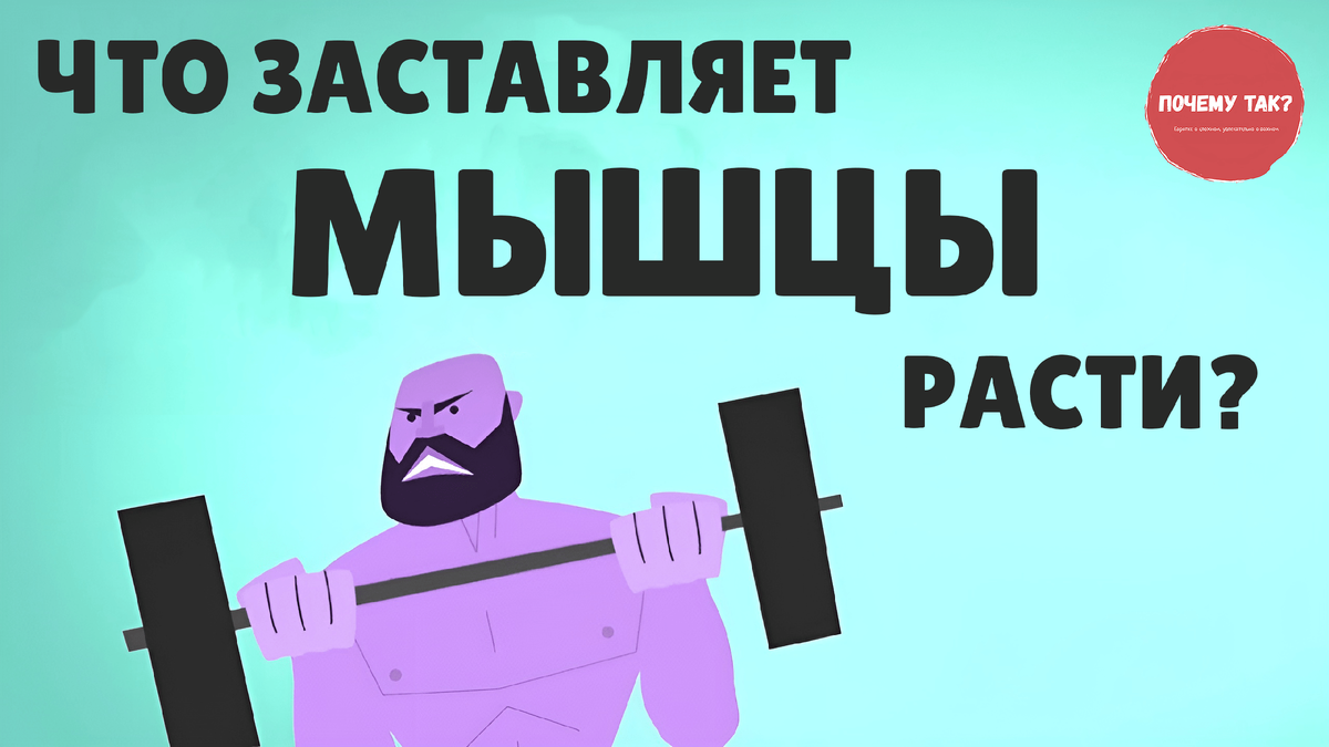 Основано на изображении © TED-Ed