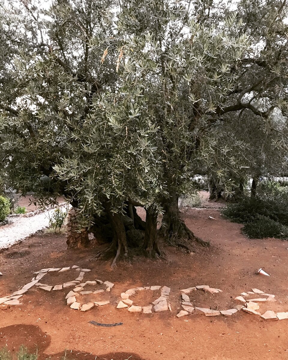 Гефсиманский сад