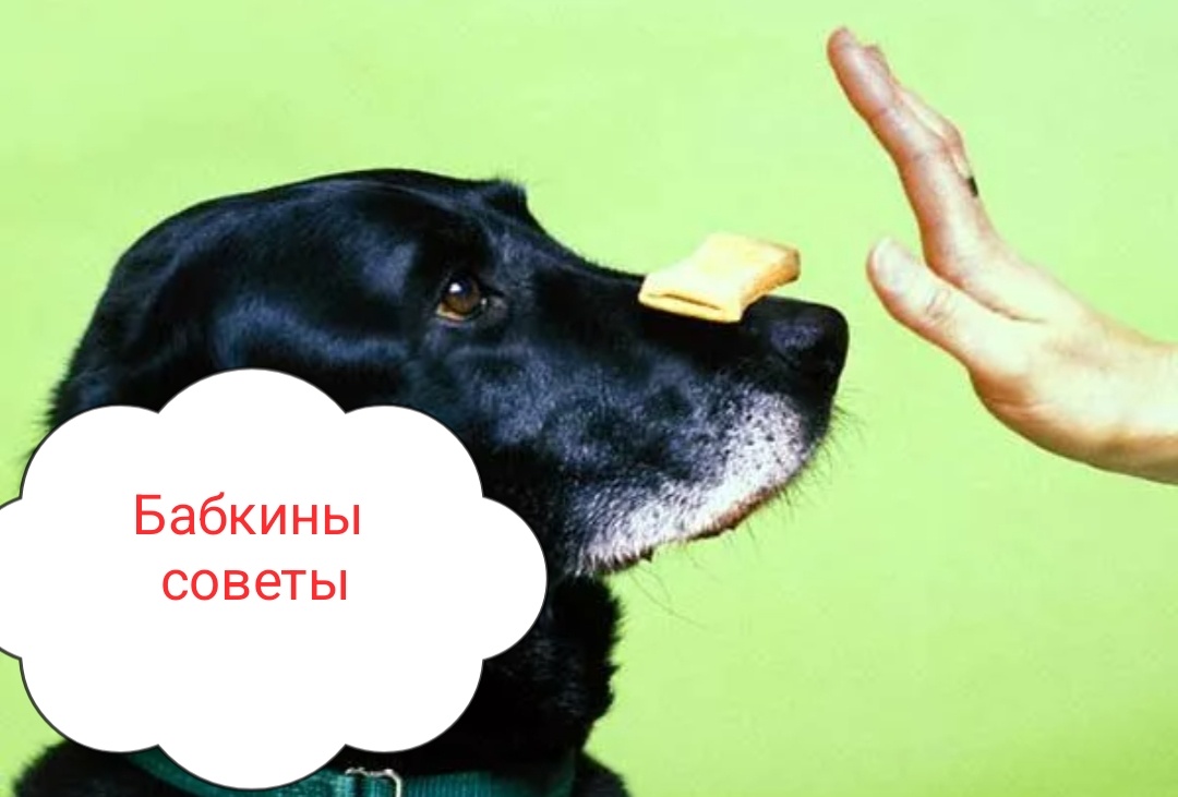 Вот и наш такой же 