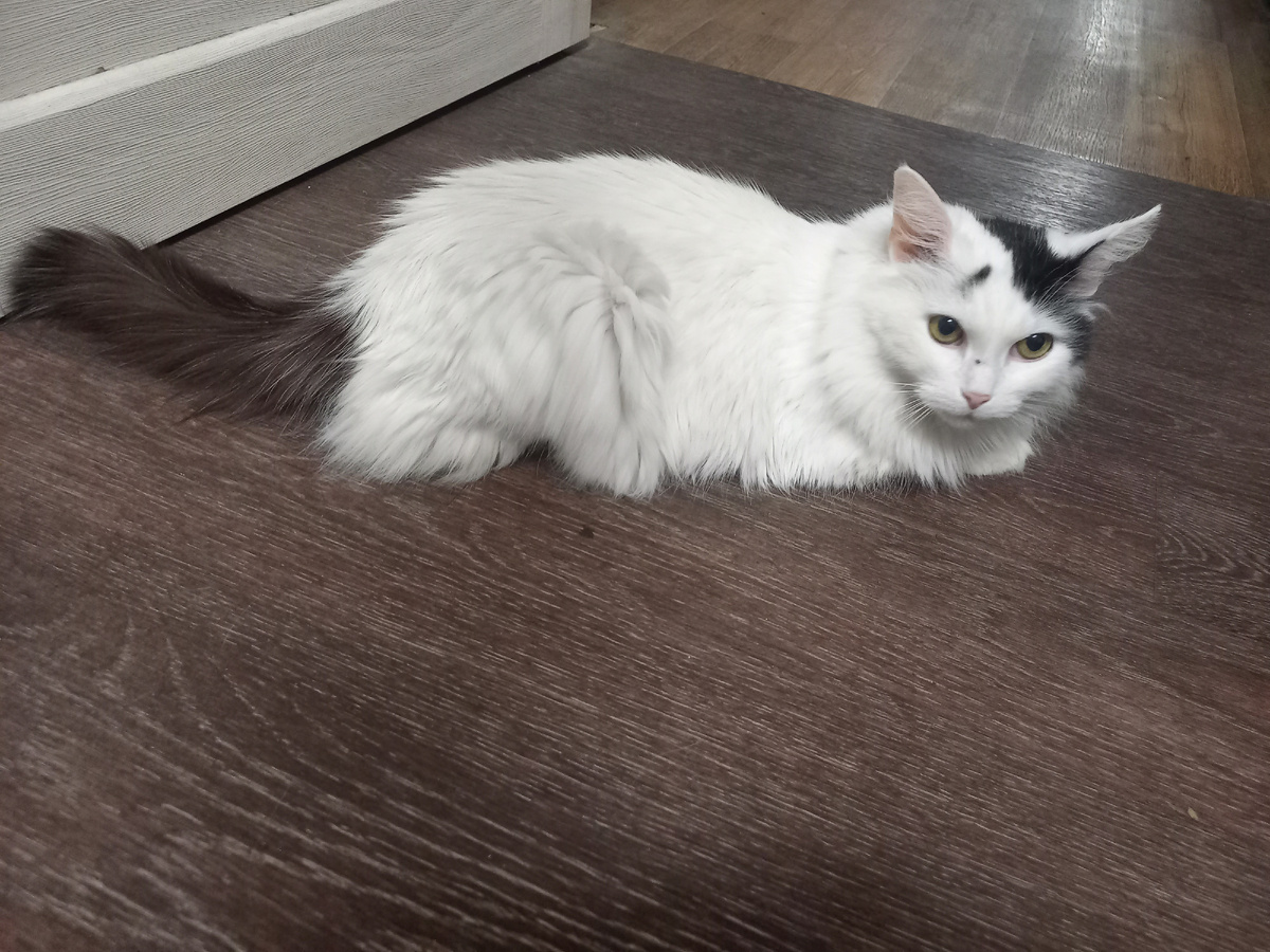 Задумалась...