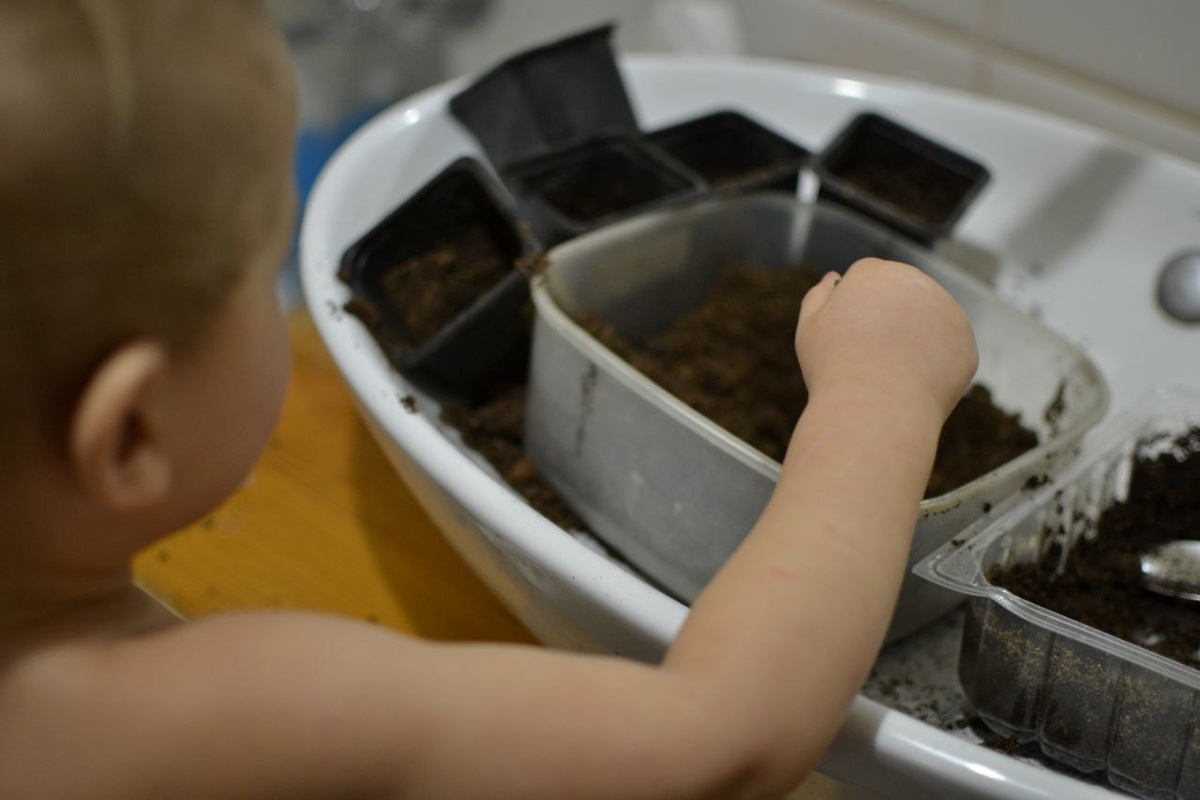 Великий сеятель