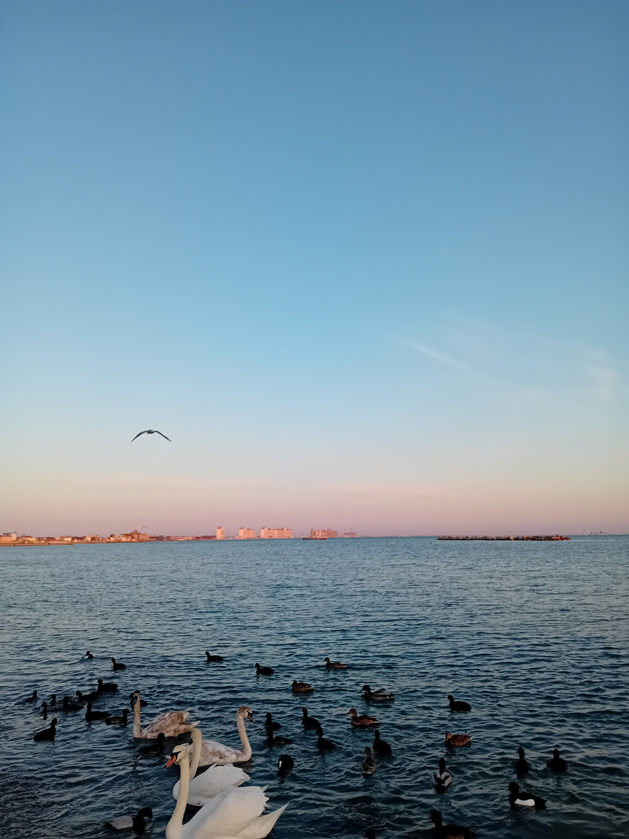 Авторское фото. Закат.