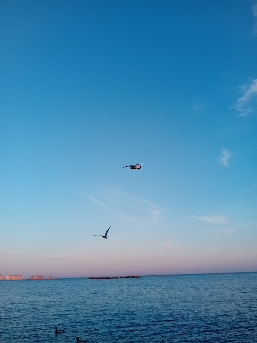 Авторское фото.