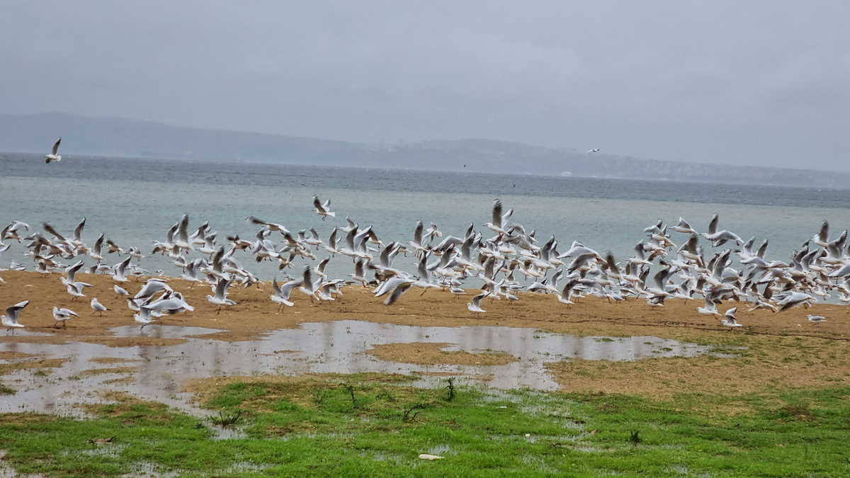 Tatlısu. Фото Elena HrisTan 