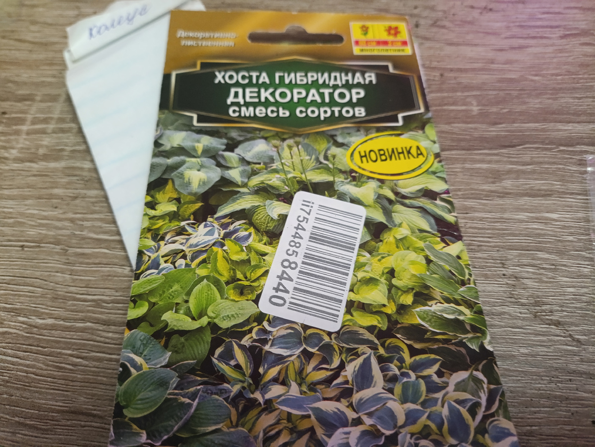 Семена хосты