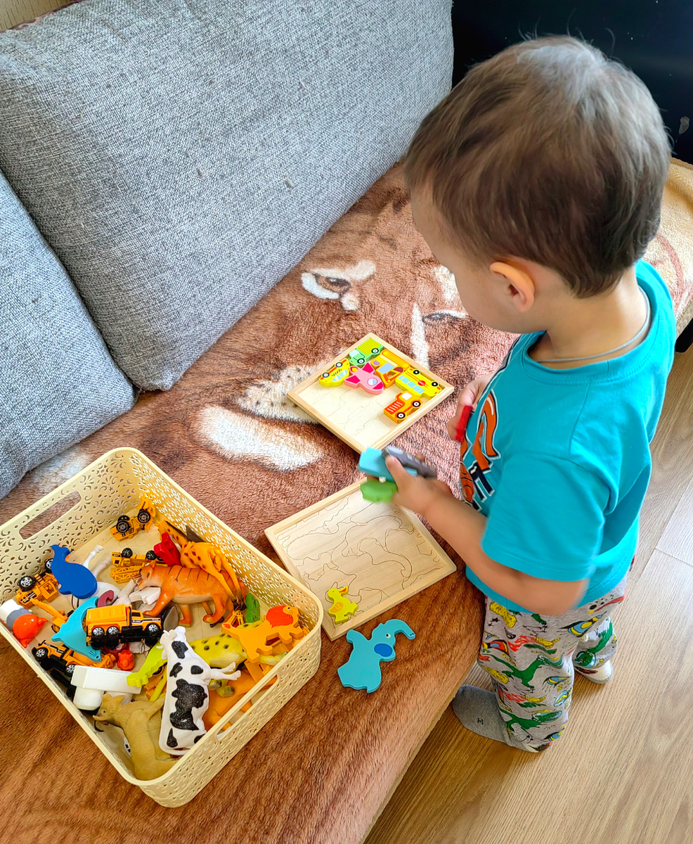 Дала Мише задание рассортировать мелкие игрушки и деревянные пазлы из общей коробки