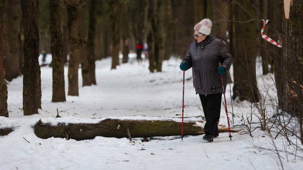    Belkin Alexey/Globallookpress