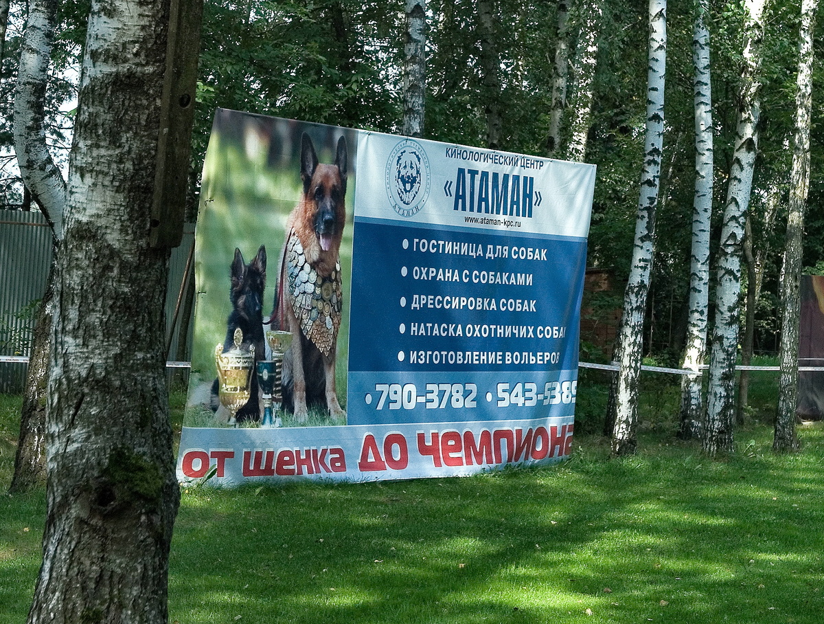 Кинологический центр "Атаман" расположился на территории живописного леса площадью 5 га в микрорайоне Лукино Балашихинского района Московской области.