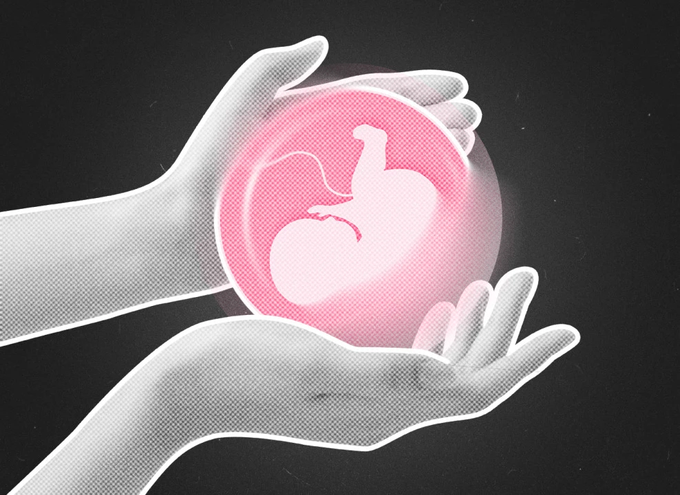 Коллаж с фото: heystock.sy | Shutterstock | Fotodom