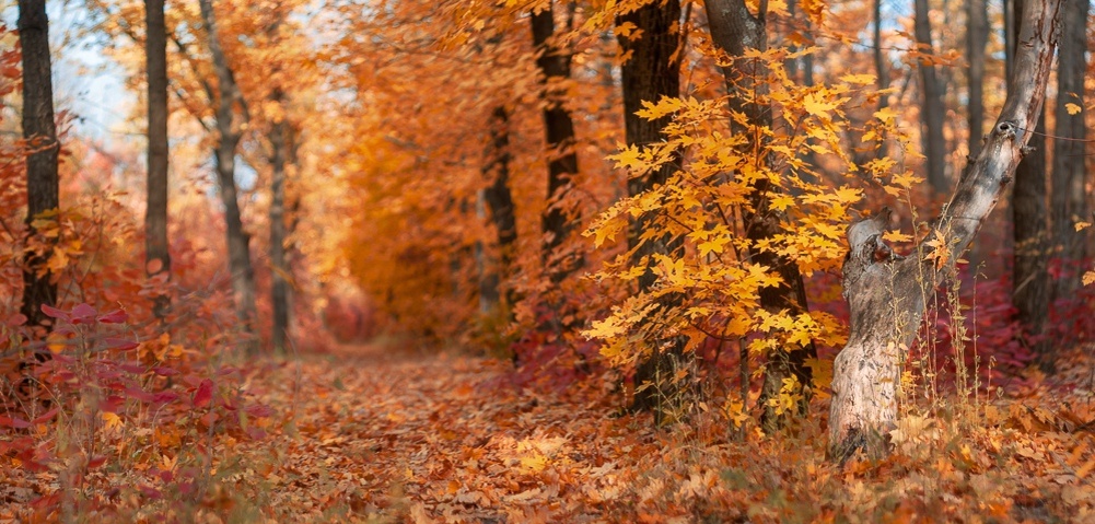 Фото из личного архива