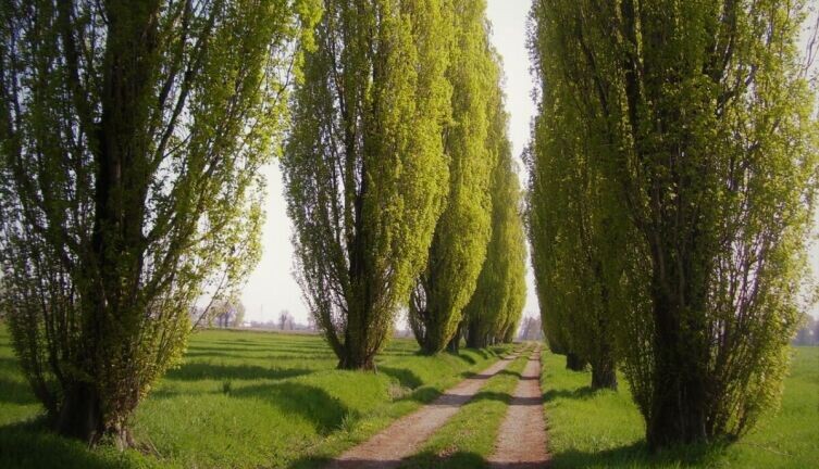     Фото: по лицензии CC0 Pxhere.com